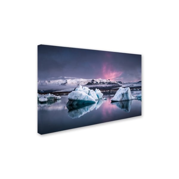 Andreas Wonisch 'The Glacier Lagoon' Canvas Art,30x47